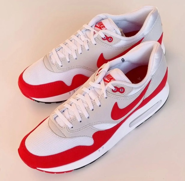 Have a nike day 2025 air max 1 219